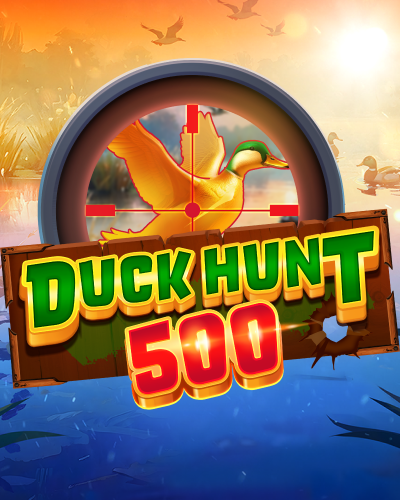 Duck Hunt 500 game card