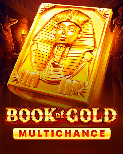 Book of Gold: Multichance game card
