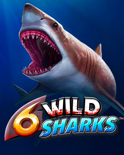 6 Wild Sharks game card