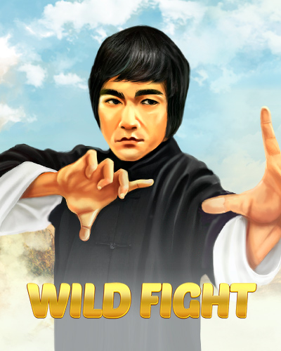 Wild Fight game card