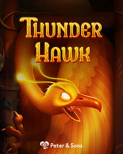 Thunder Hawk game card