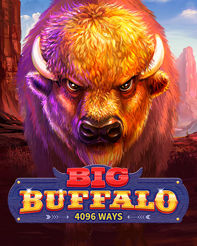 Big Buffalo game card