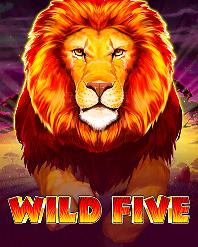 Wild Five game card