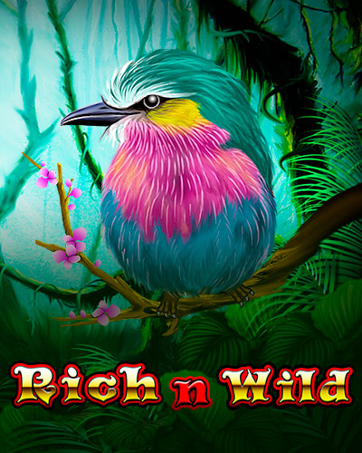 Rich n Wild game card