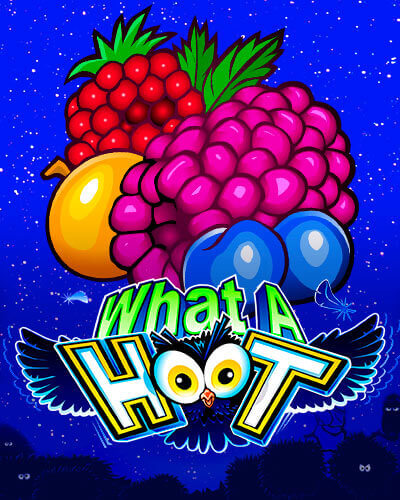 What a Hoot game card