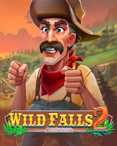 Wild Falls 2 game card