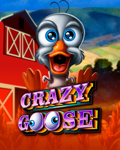 Crazy Goose game card